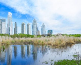 Changement climatique : solutions naturelles, pourquoi, comment ?